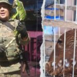 Coppa resgatou 25 animais silvestres no período junino