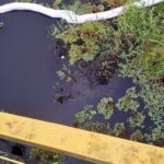 Refinaria de Mataripe entra na mira de investigação de crime ambiental na Barragem de São Paulo em São Francisco do Conde