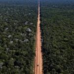 Marina Silva e Renan Filho selam acordo para pavimentar estrada na amazônia
