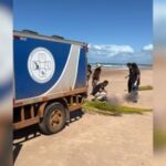Turista mineiro é encontrado morto em praia na Bahia