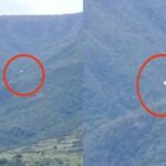 Avião cai em área de mata no sudoeste da Bahia