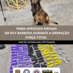 CIPE Chapada apreende drogas em ônibus na rodoviária de Ruy Barbosa