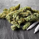 Maconha dispara e consumo de drogas cresce 80% no Brasil em 11 anos, aponta levantamento