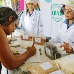 Tradicionais eventos agropecuários movimentam o interior baiano neste final de semana de feriadão