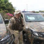 PM apreende armas e drogas em Palmeiras durante operação
