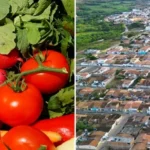 Entrega de alimentos do PAA fortalece economia rural e beneficia famílias em vulnerabilidade em Utinga.