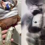 Idosa com camisa religiosa é presa ao tentar entrar com drogas escondidas no cós da roupa em presídio na Bahia