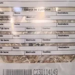 Jovem de 18 anos é preso com mais de 100 pedras de crack em Bom Jesus da Lapa