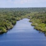 Petrobras confirma petróleo na Foz do Amazonas, mas ainda não dimensiona reserva