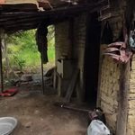 Auditores resgatam 11 trabalhadores de situação análoga à escravidão em fazenda de piaçava na Bahia